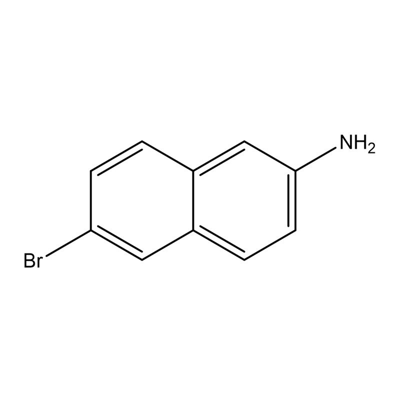 6-Bromonaftalen-2-amină