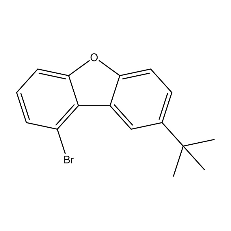 1-brom-8-(terţ-butil)dibenzo[b.d]furan