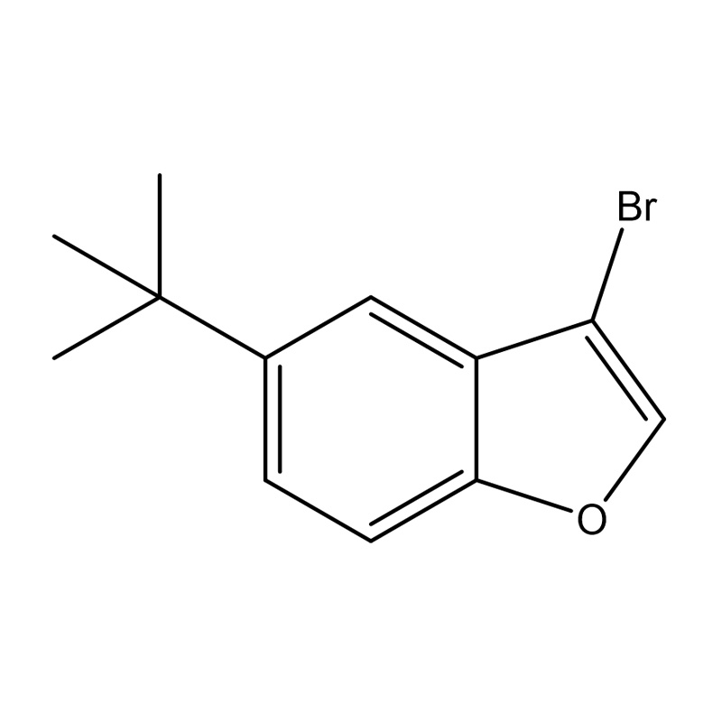3-Brom-5-tert-butilbenzofuran