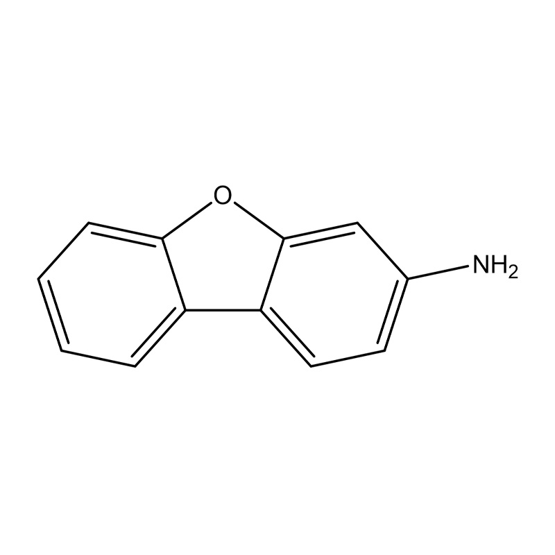 3-amino dibenzofuran